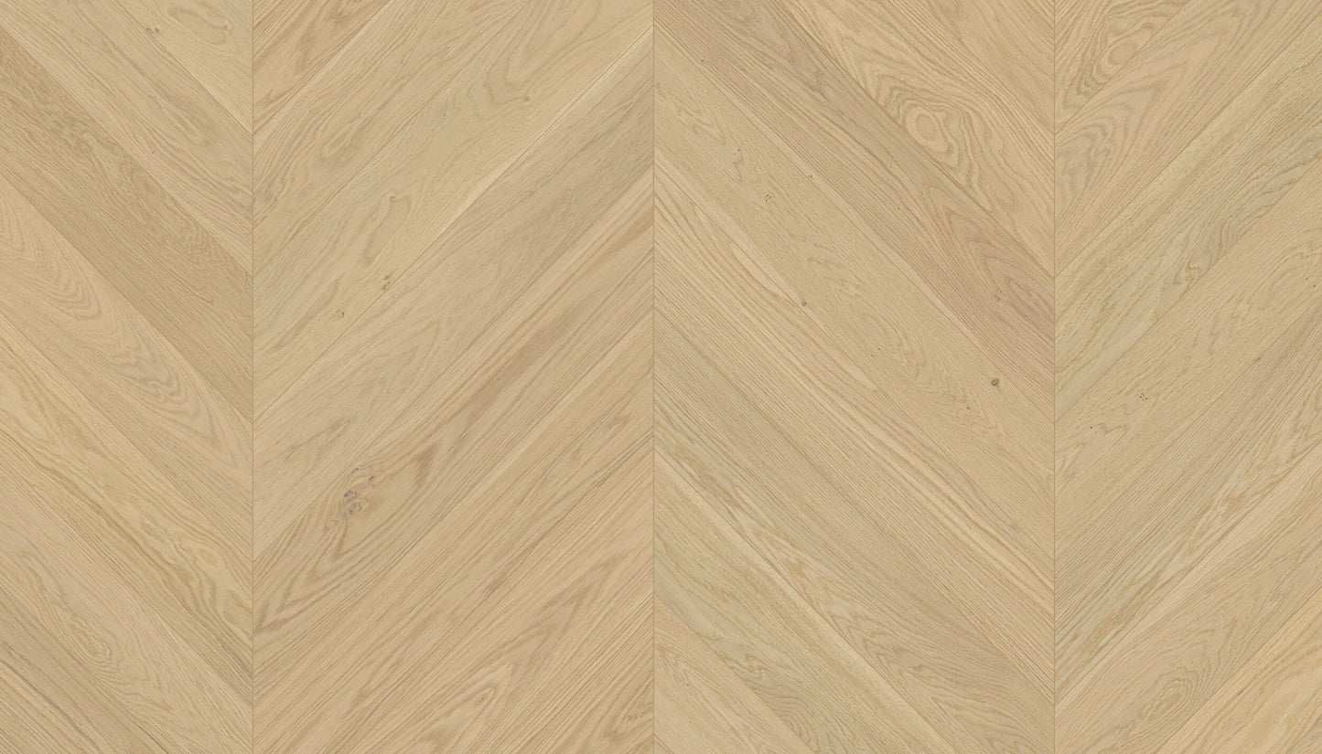 „Chevron“ rašto ąžuolo parketlentės „Nordic S Dazy“ Extra Matt Lacquered Gloss 5% – #15007