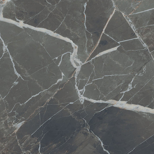 Išpardavimas Plytelės Stones&More Calacatta Black Smooth 60x120