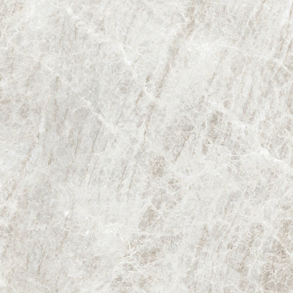 Iconic Life Rice Yamuna Matte Silk 60x120 785066