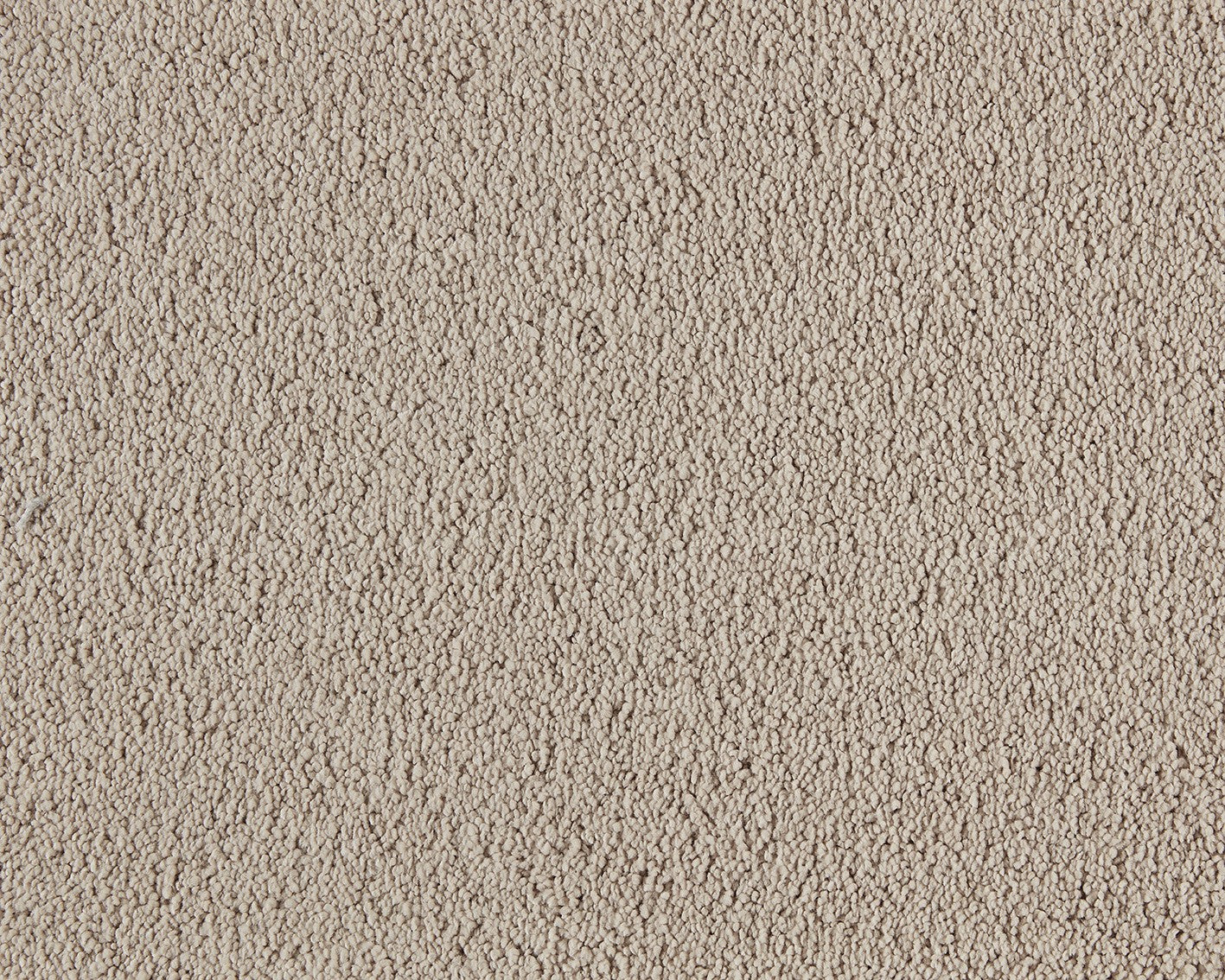 240 Cream – Boheme