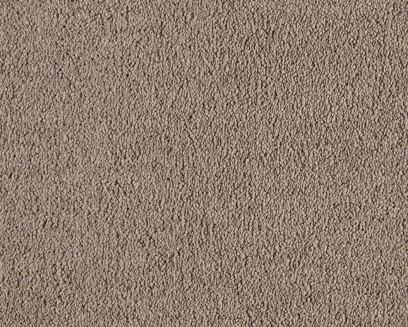 260 Camel – Boheme