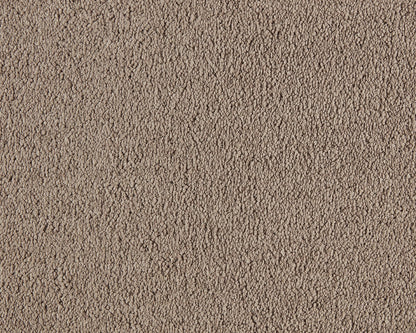 260 Camel – Boheme