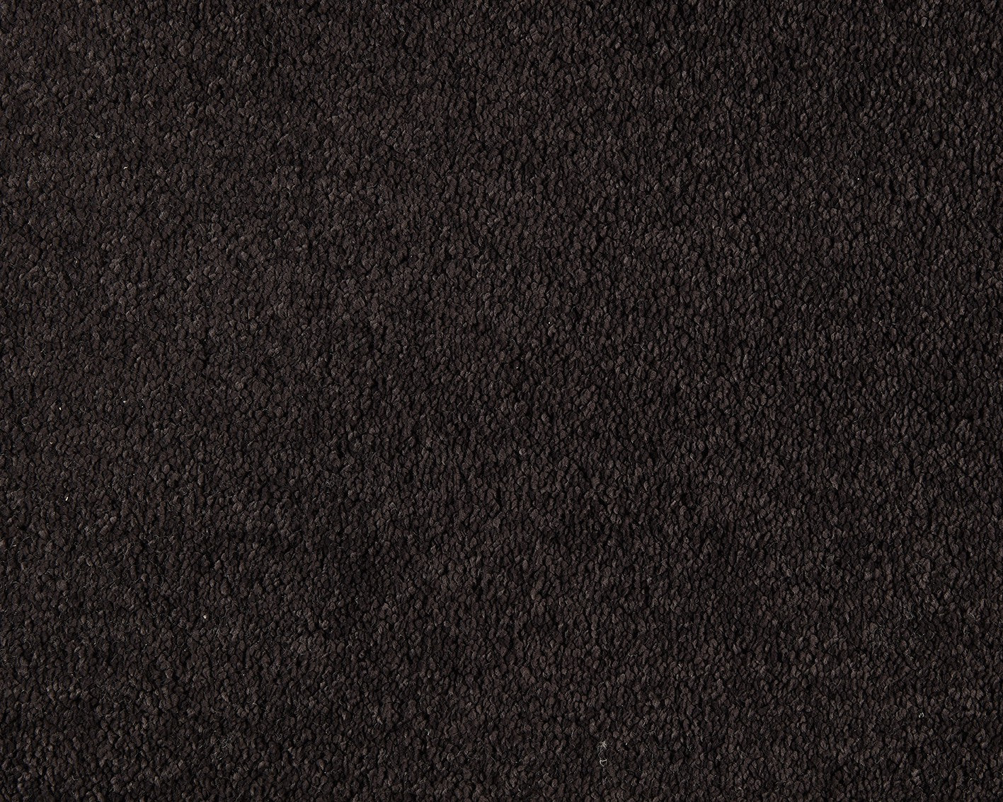 800 Ebony – Boheme