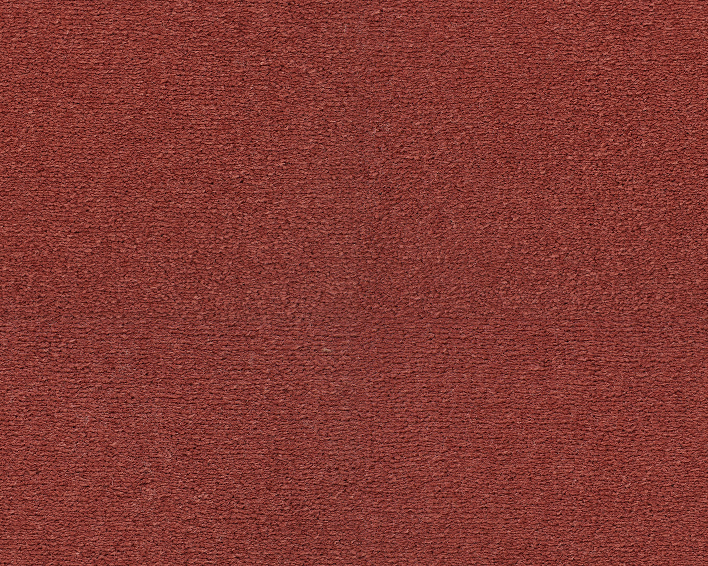121 Coral 1 – Celeste