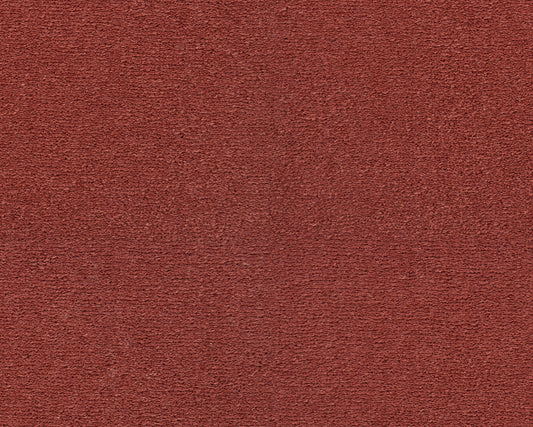 121 Coral 1 – Celeste