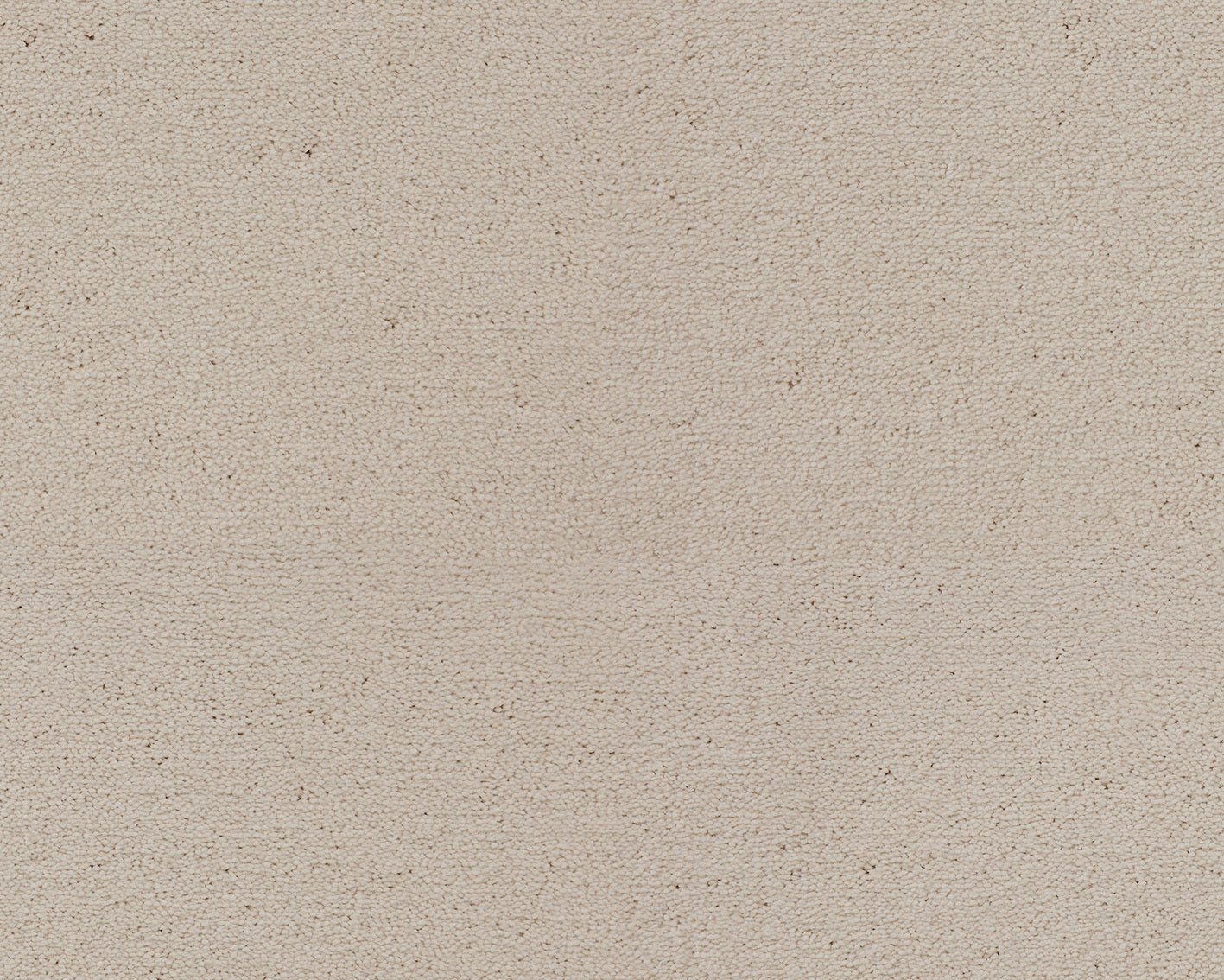 241 Cream 1 – Celeste