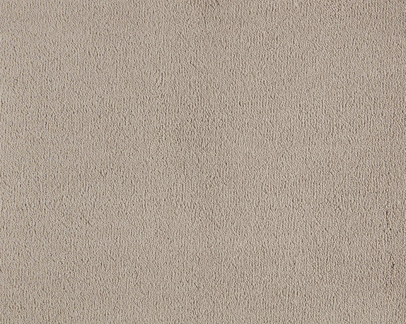 260 Camel – Celeste