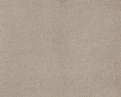 260 Camel – Celeste