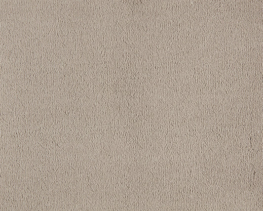 260 Camel – Celeste