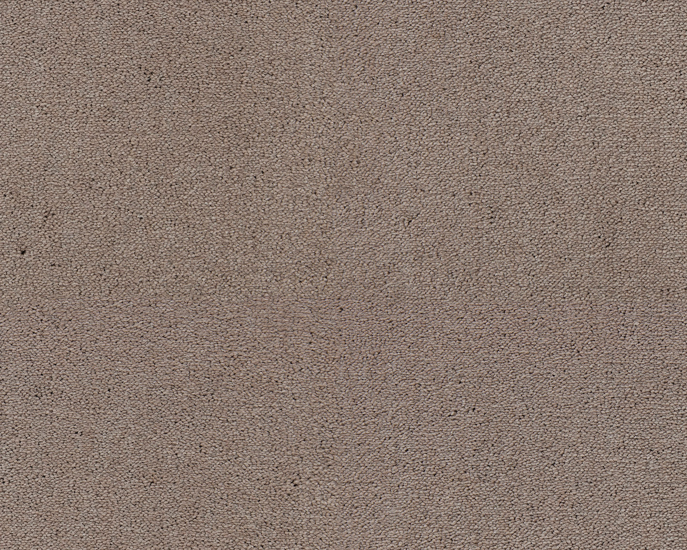 261 Camel 1 – Celeste