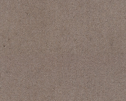 261 Camel 1 – Celeste