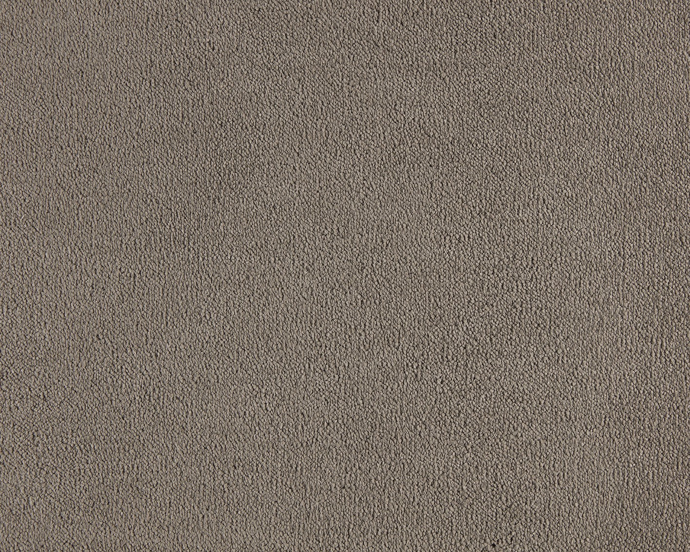 410 Leather – Celeste
