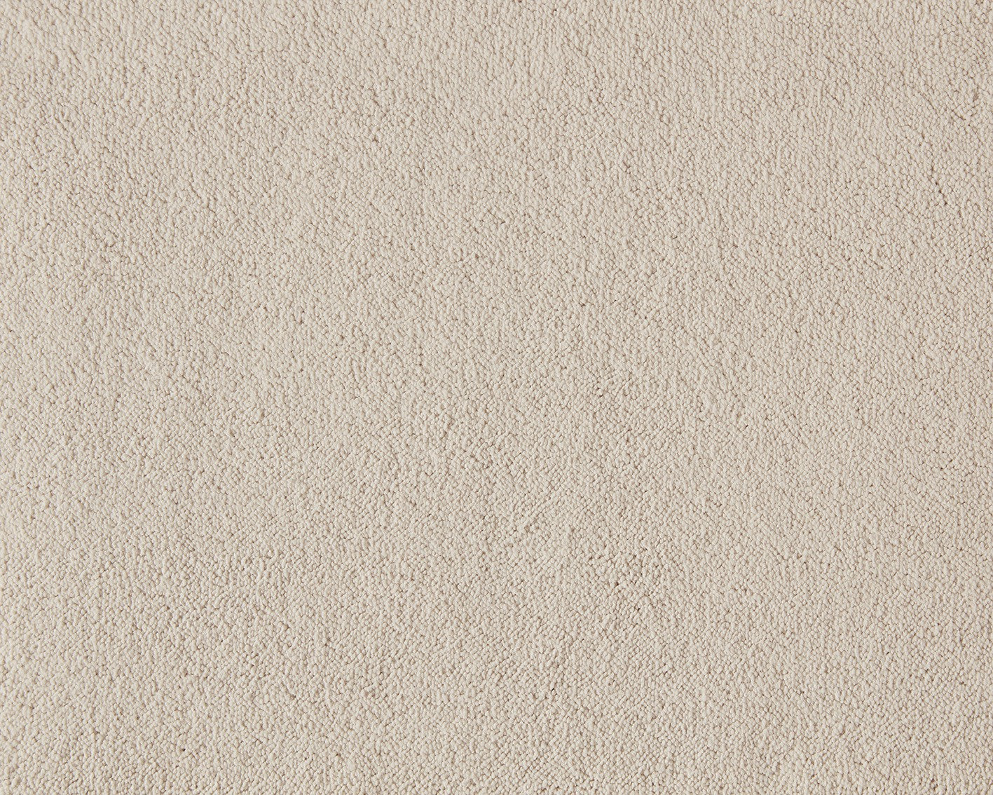 440 Ivory – Celeste