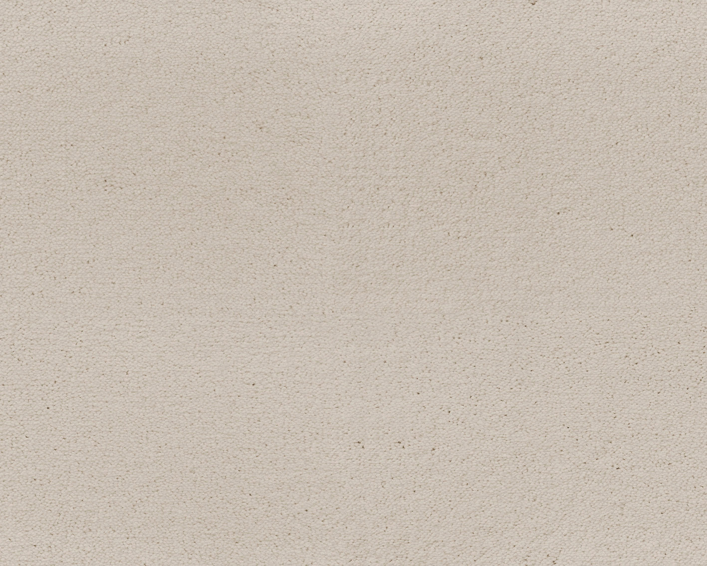 441 Ivory 1 – Celeste