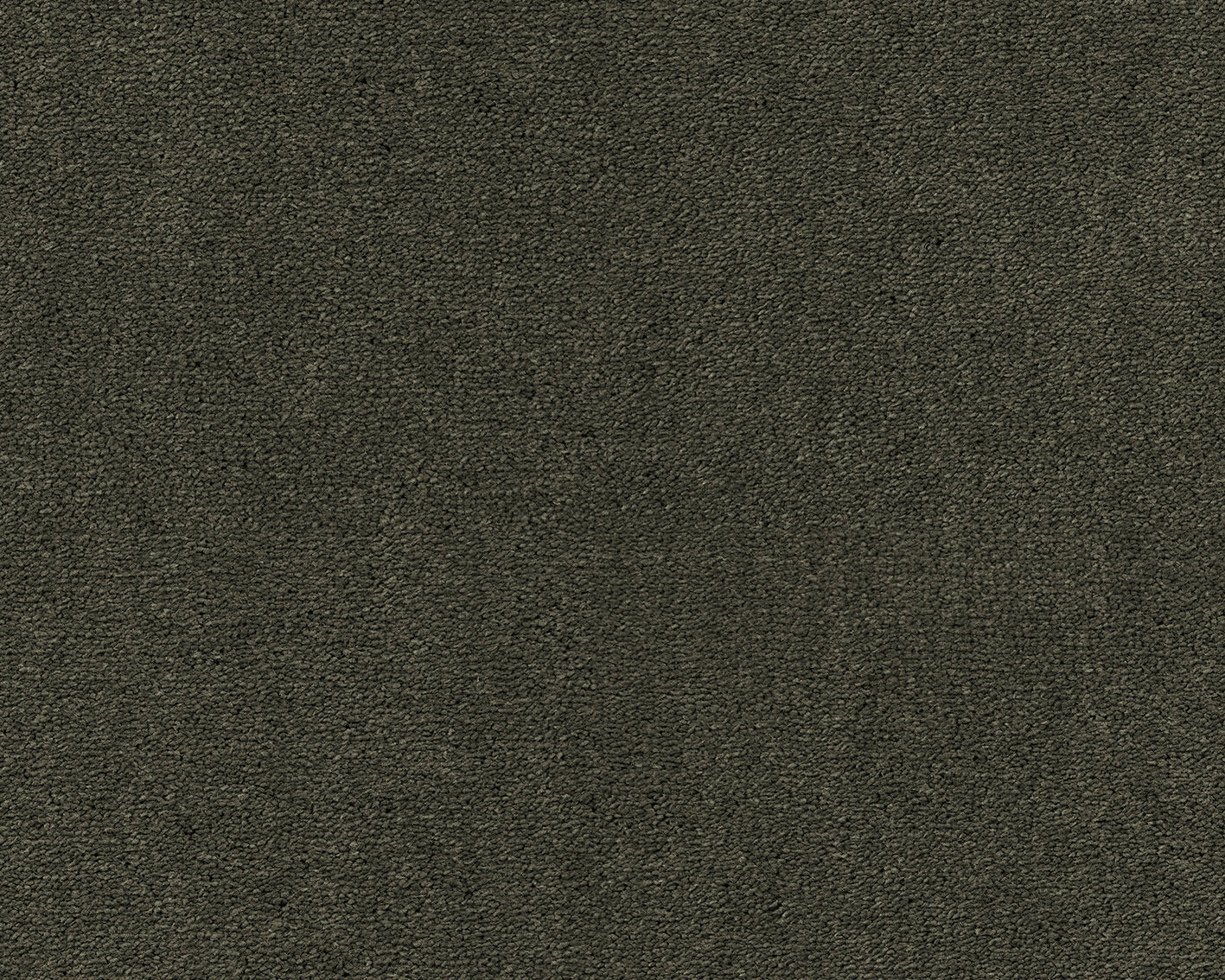 501 Olive 1 – Celeste