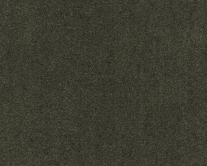 501 Olive 1 – Celeste