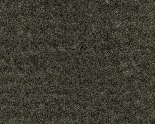 501 Olive 1 – Celeste