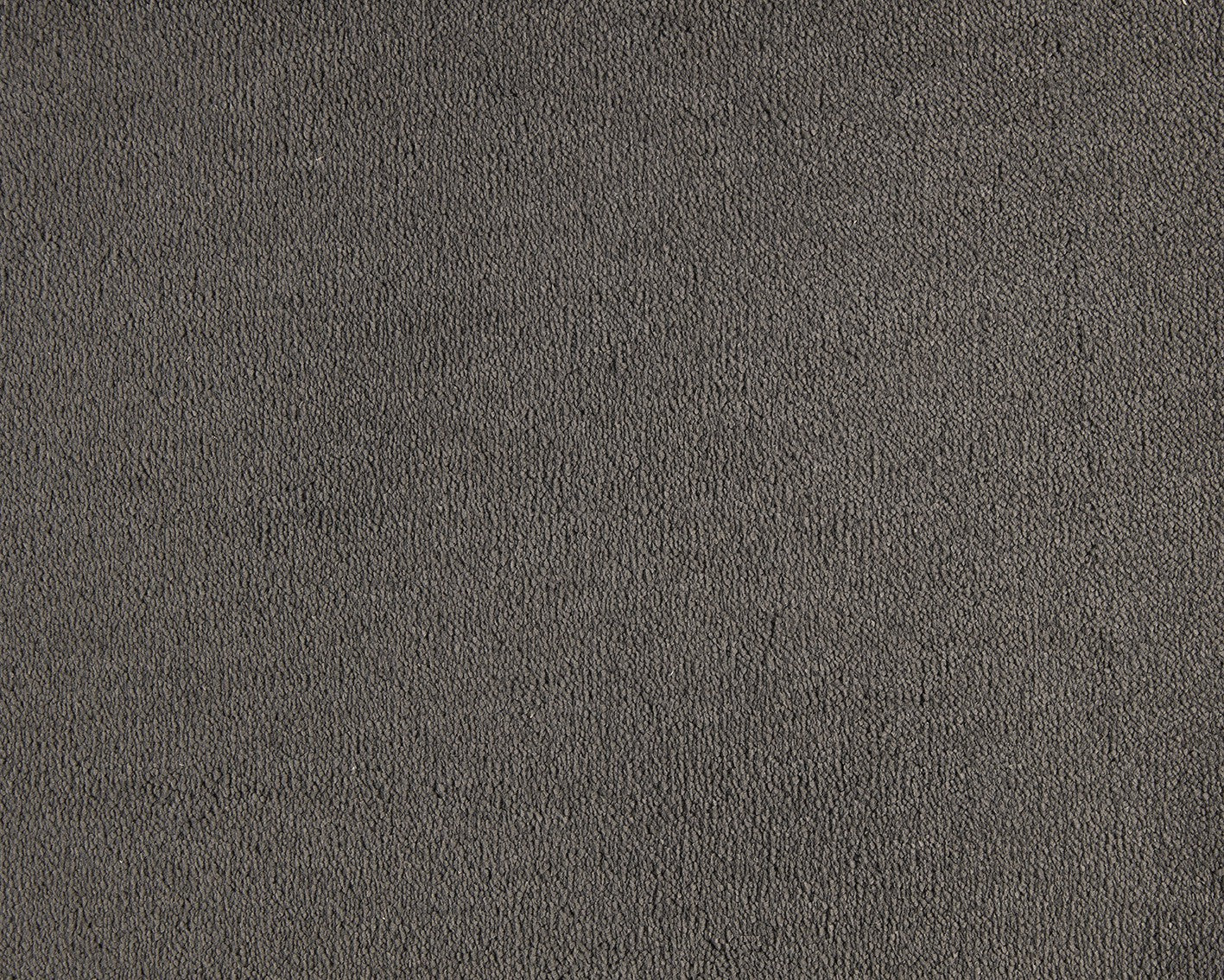810 Charcoal – Celeste