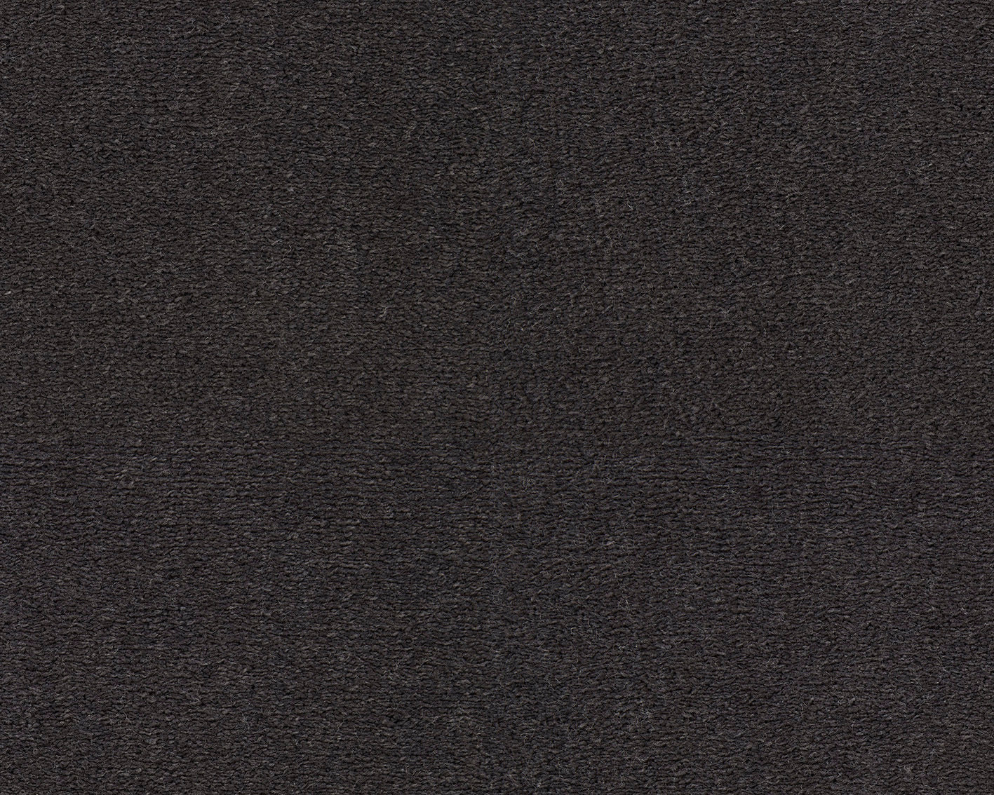 811 Charcoal 1 – Celeste