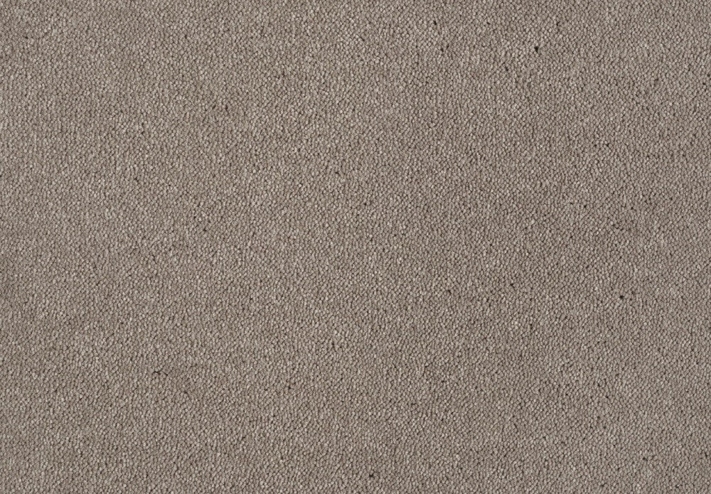 261 Cobblestone – Dream