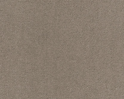 263 Camel 3 – Dream