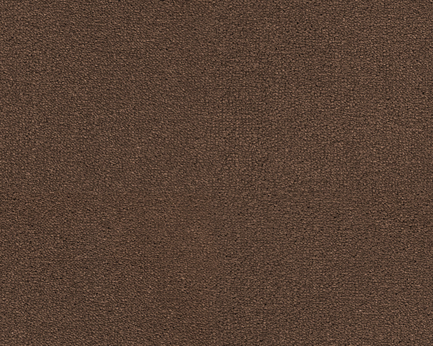 413 Leather 3 – Dream