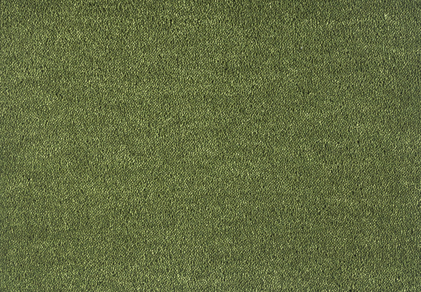 591 Moss 1 – Dream