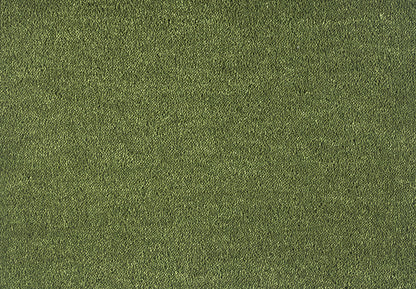 591 Moss 1 – Dream