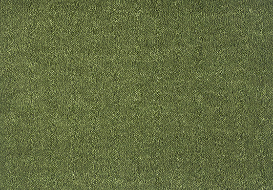 591 Moss 1 – Dream