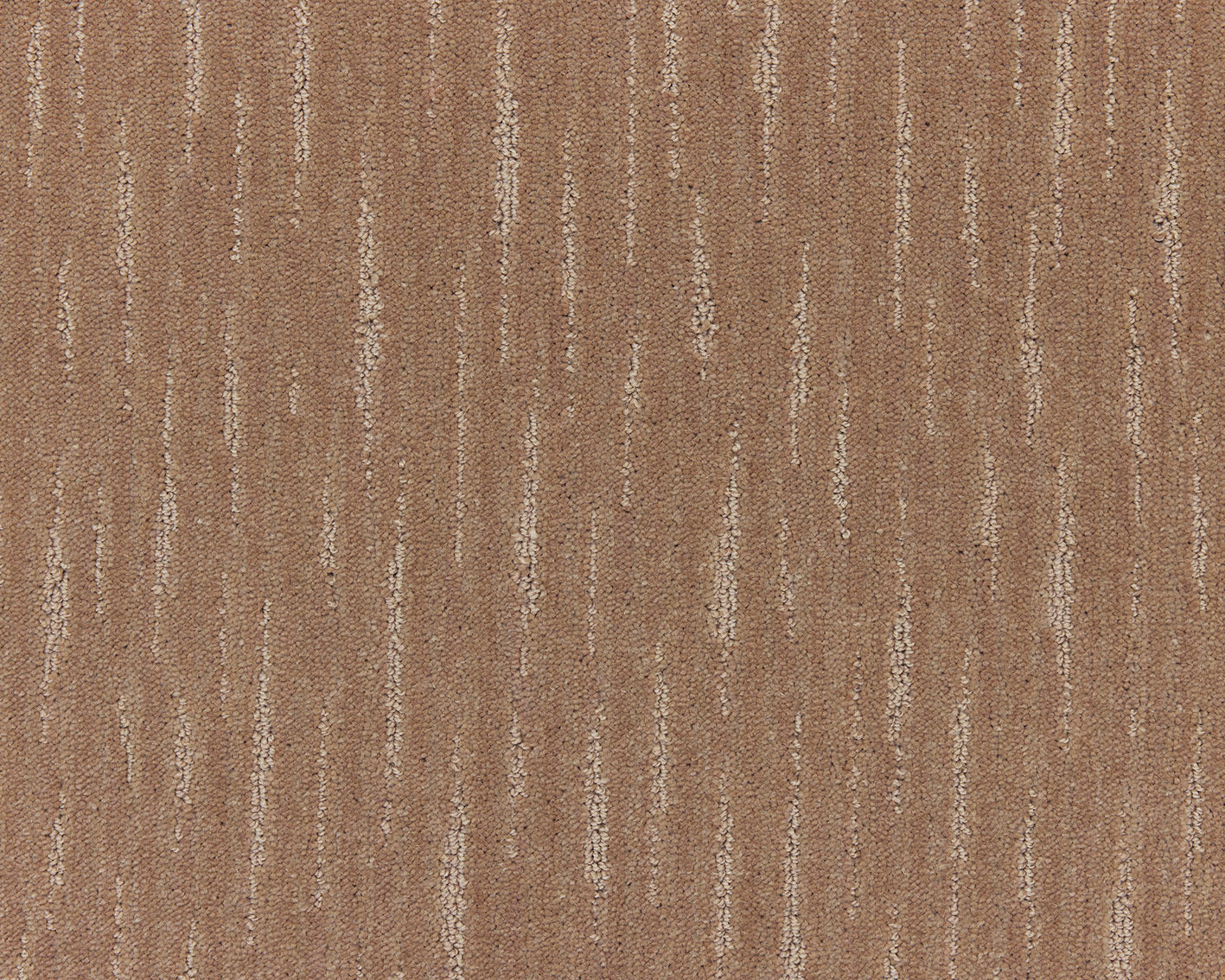 260 Camel – Lagoon