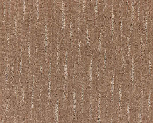 260 Camel – Lagoon