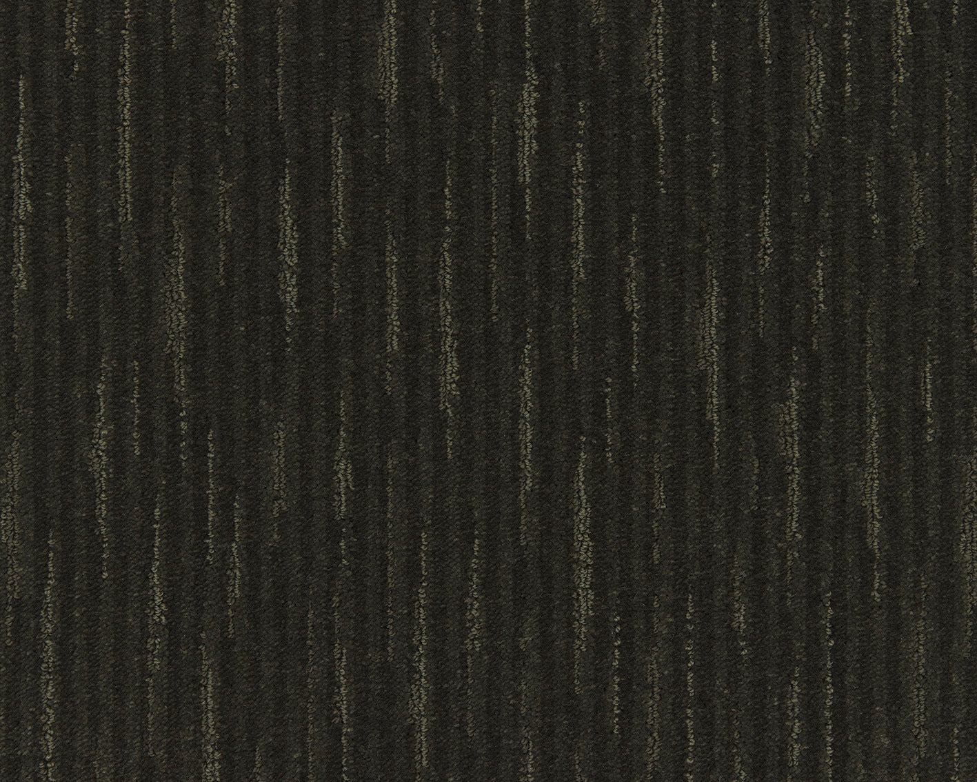 590 Moss – Lagoon