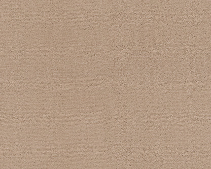 251 Magnolia 1 – Lior