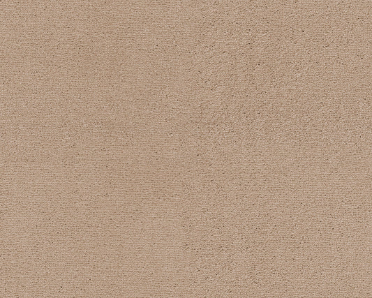 251 Magnolia 1 – Lior