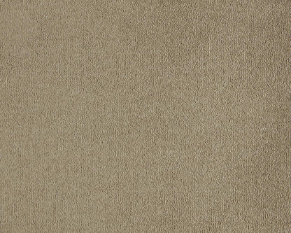 260 Camel – Lior