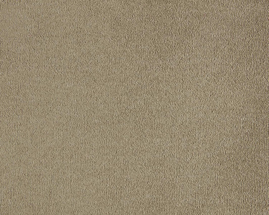 260 Camel – Lior