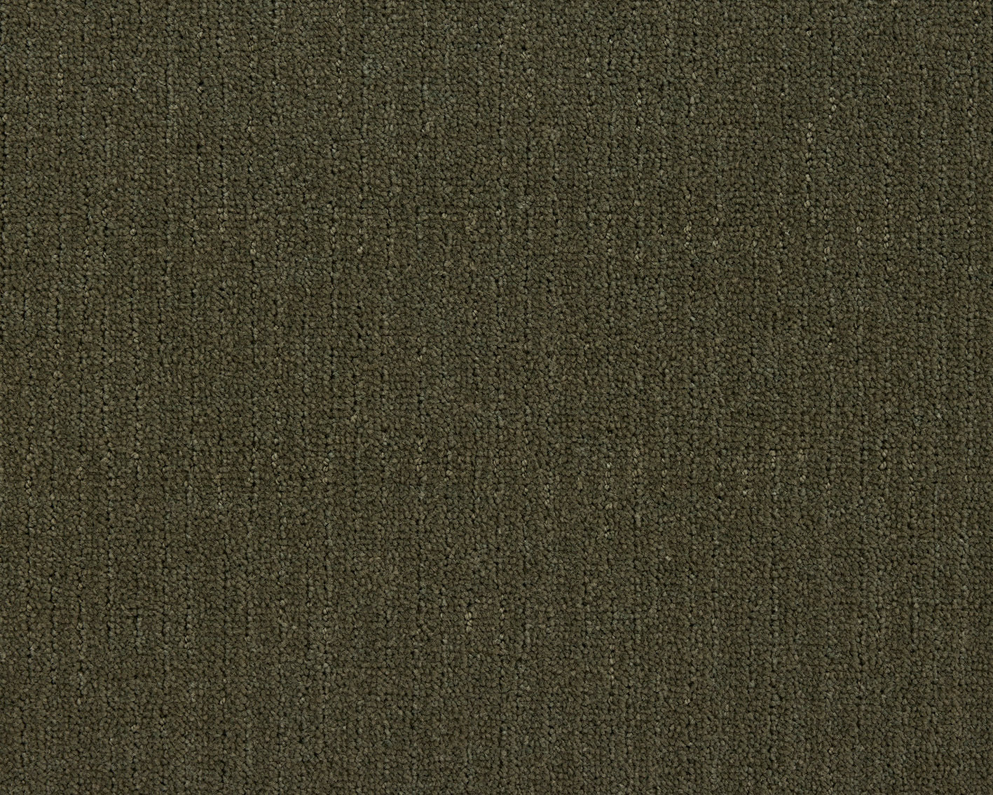 591 Moss 1 – Loft Life Pure