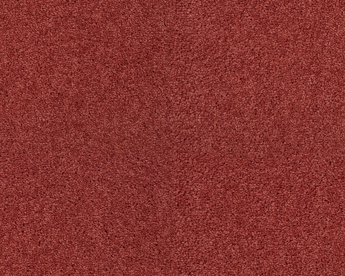 131 Rose 1 – Lounge