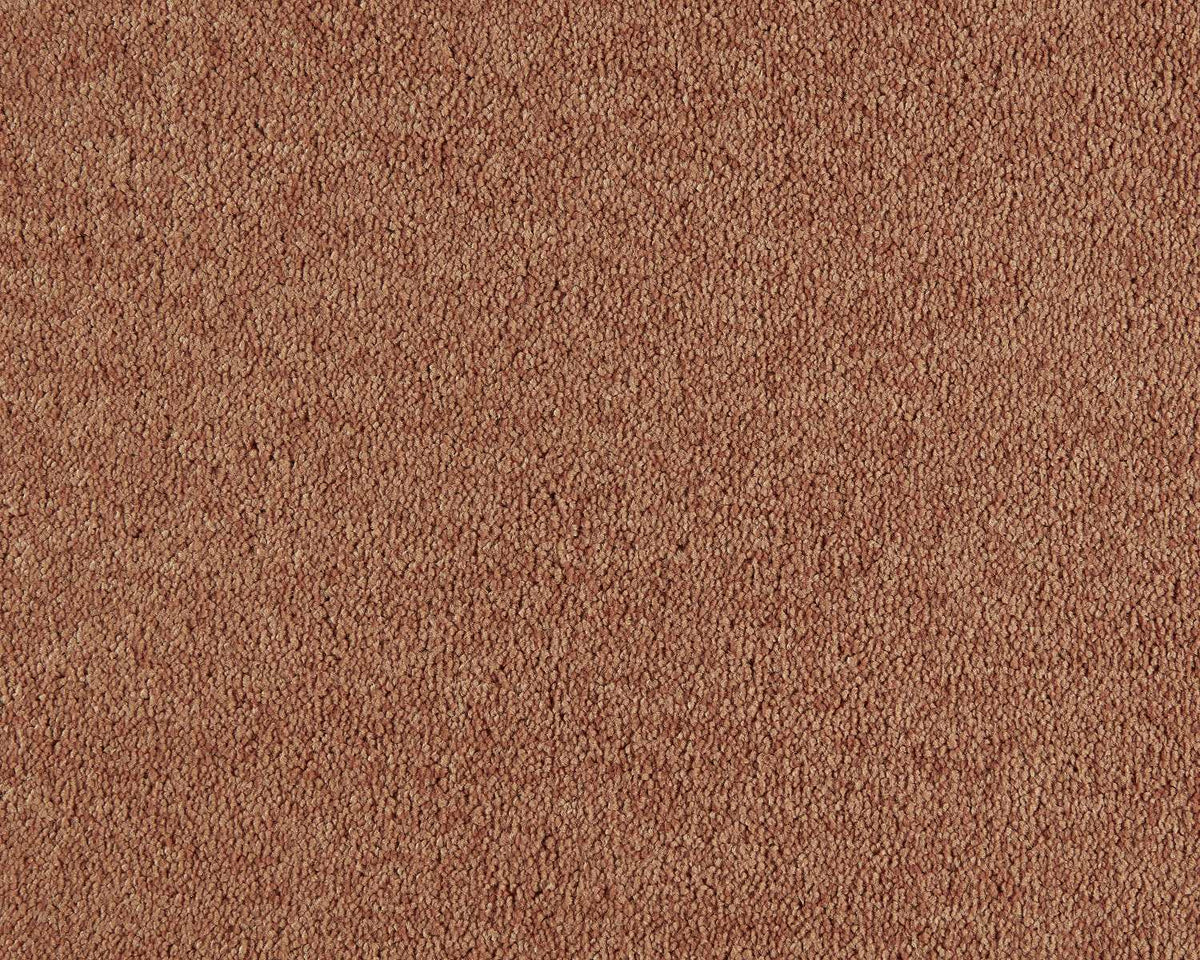 332 Apricot 2 – Lounge