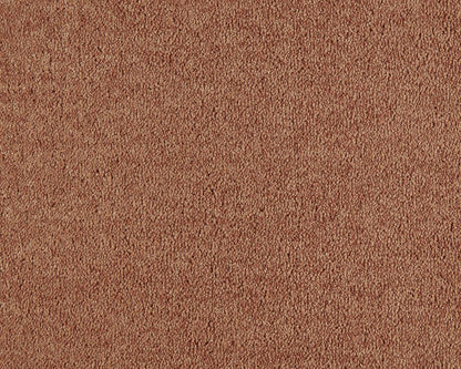 332 Apricot 2 – Lounge