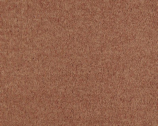 332 Apricot 2 – Lounge