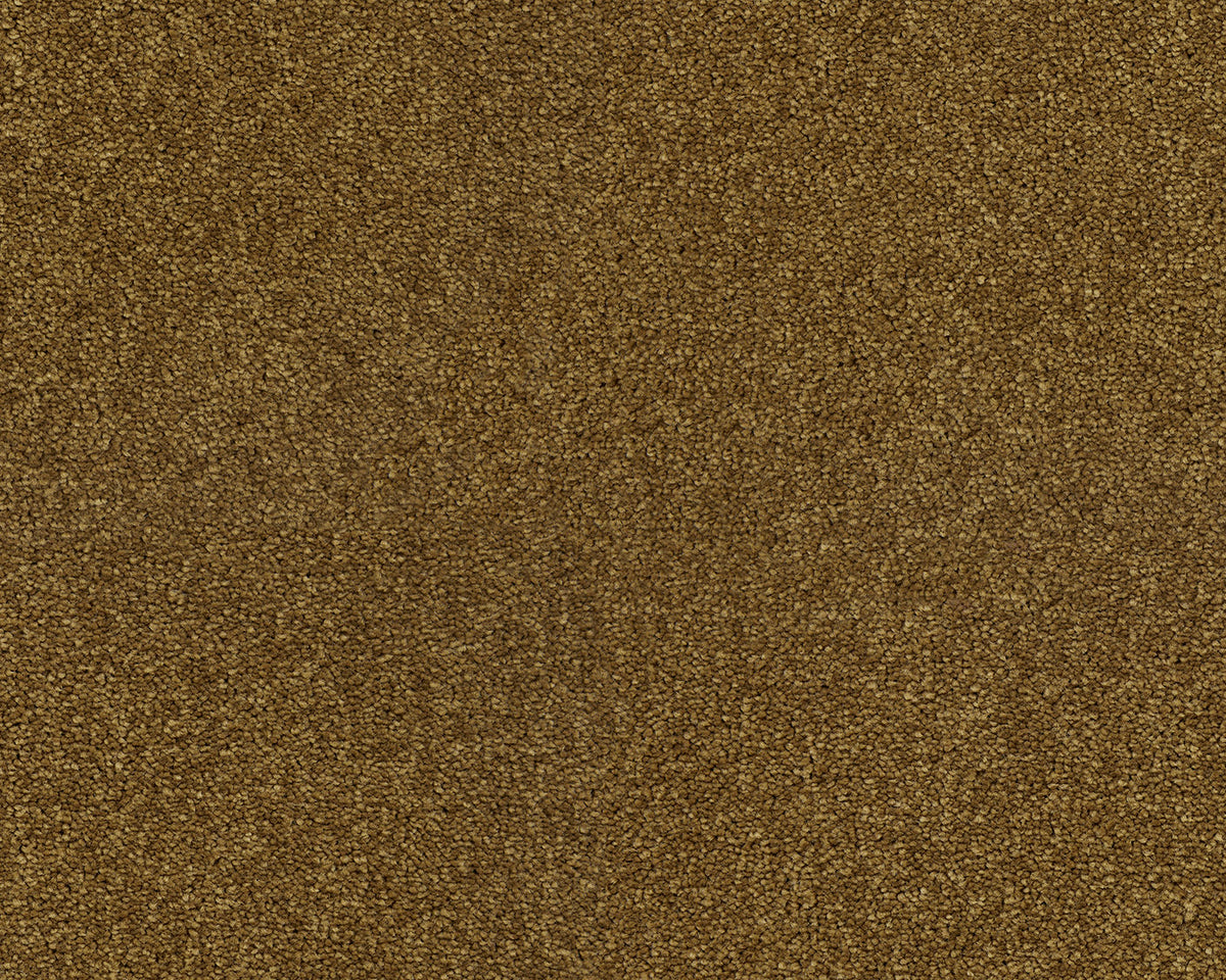 384 Bronze 4 – Lounge