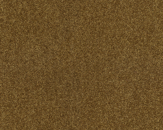 384 Bronze 4 – Lounge