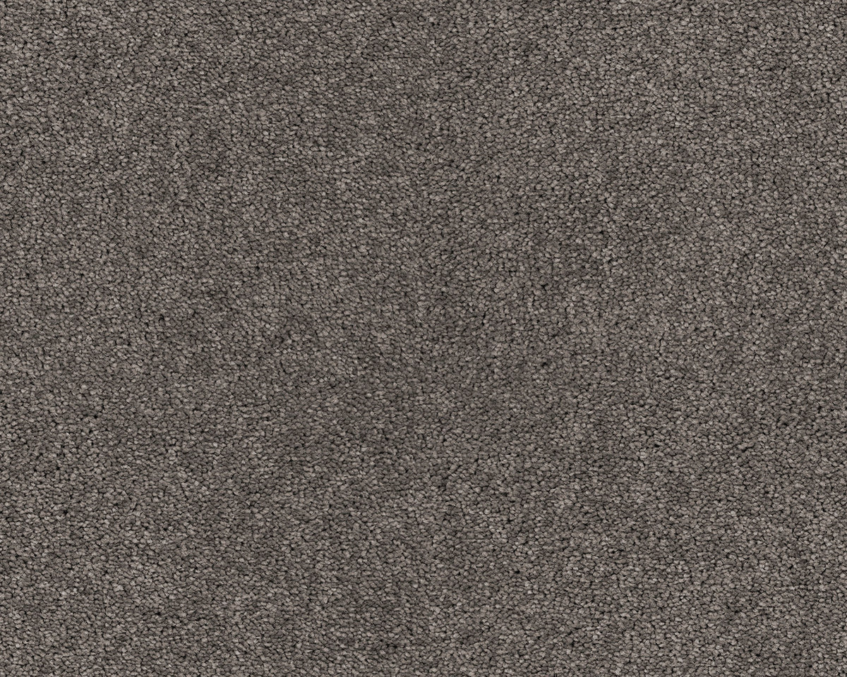 834 Ash 4 – Lounge