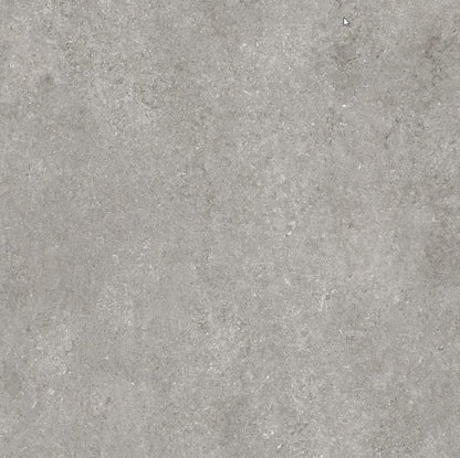 Sensi Fossil Grey